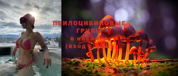 стафф Волосово
