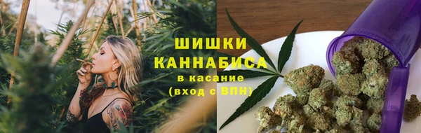 стафф Волосово